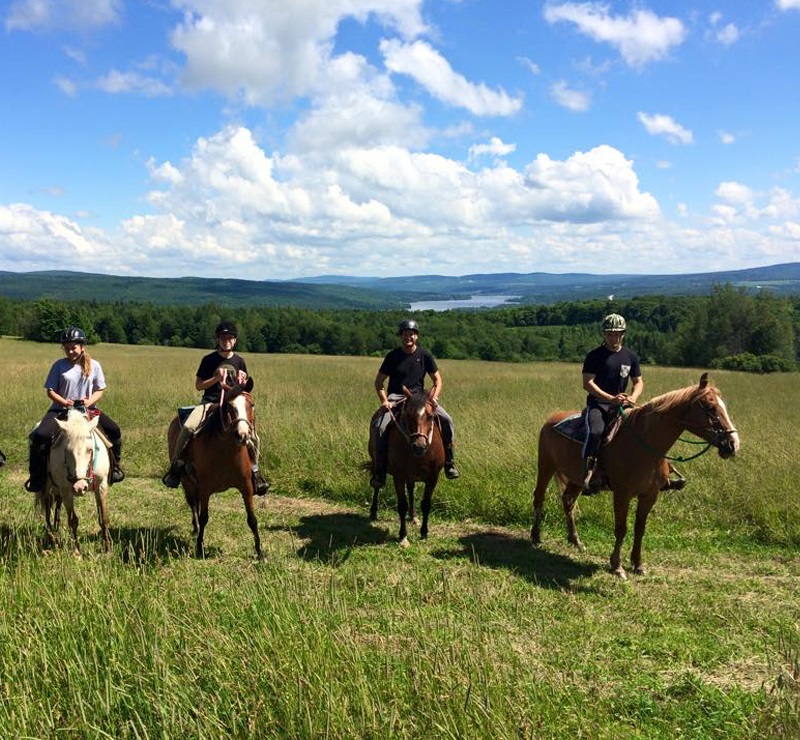 Horseback riding package