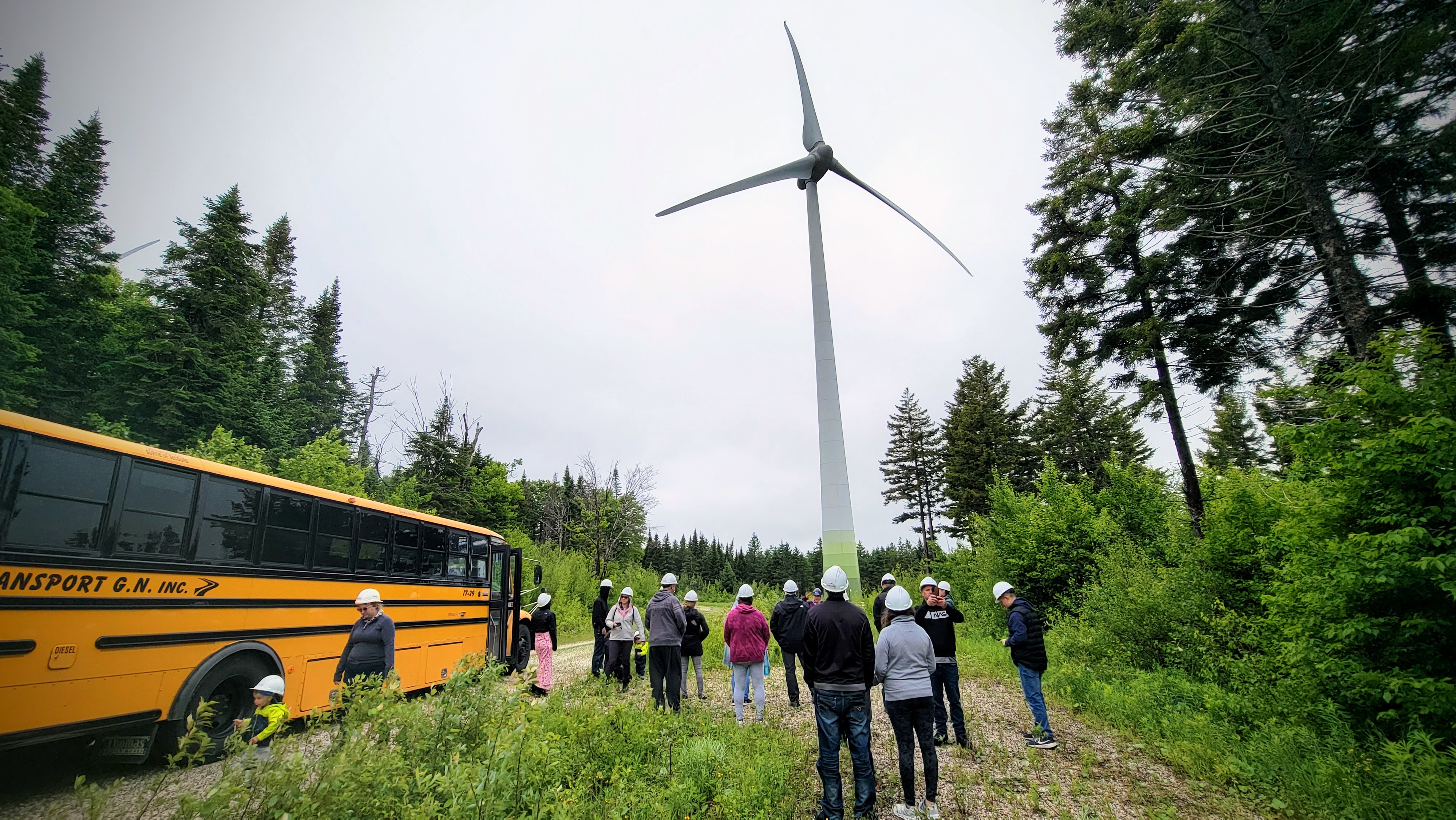 Plongez dans l'érable_Éoliennes_1