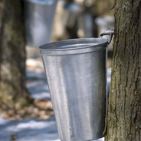 Aliment du Québec