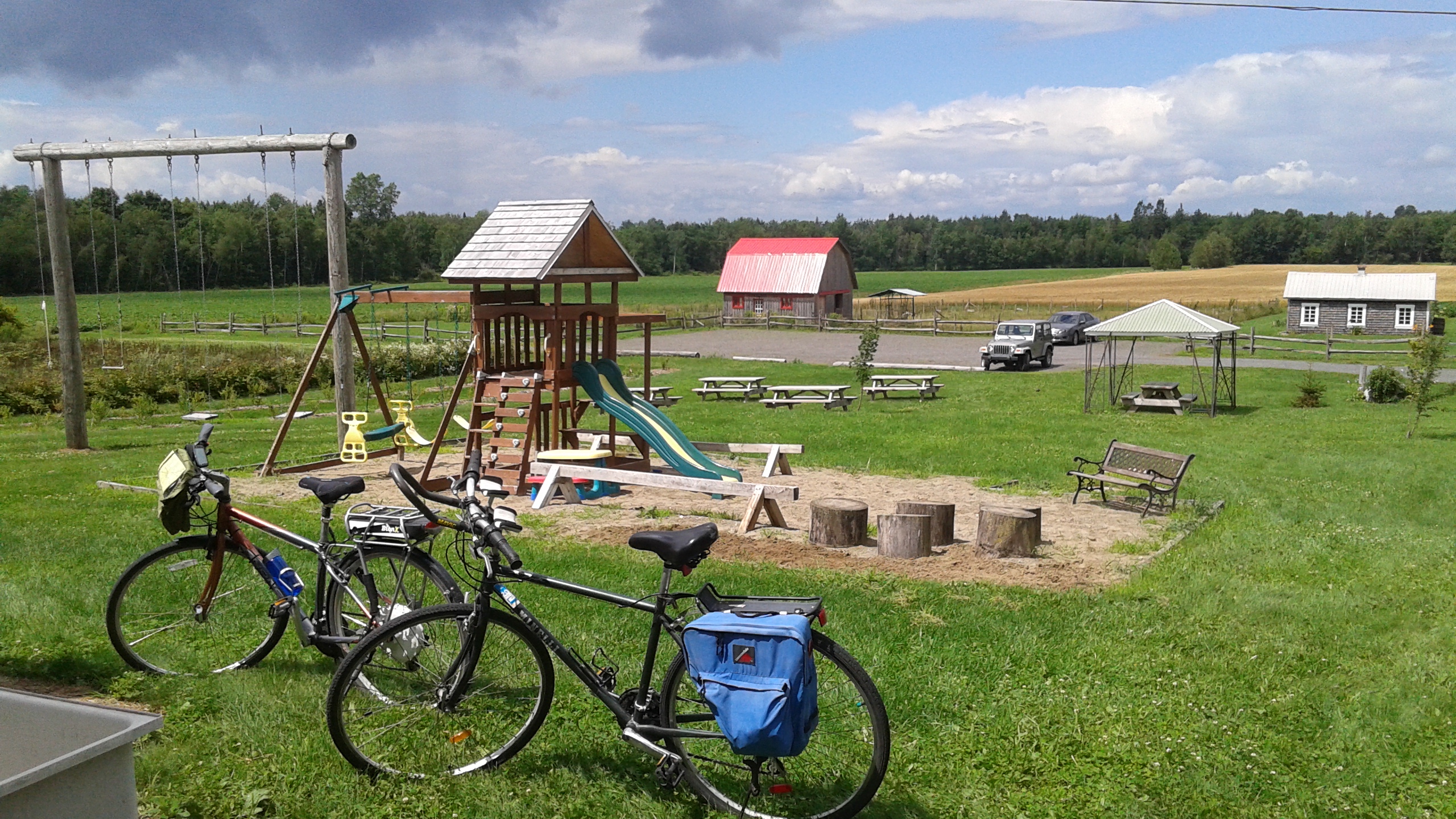 Plongez dans l'érable_Ferme D'Evélyne_2