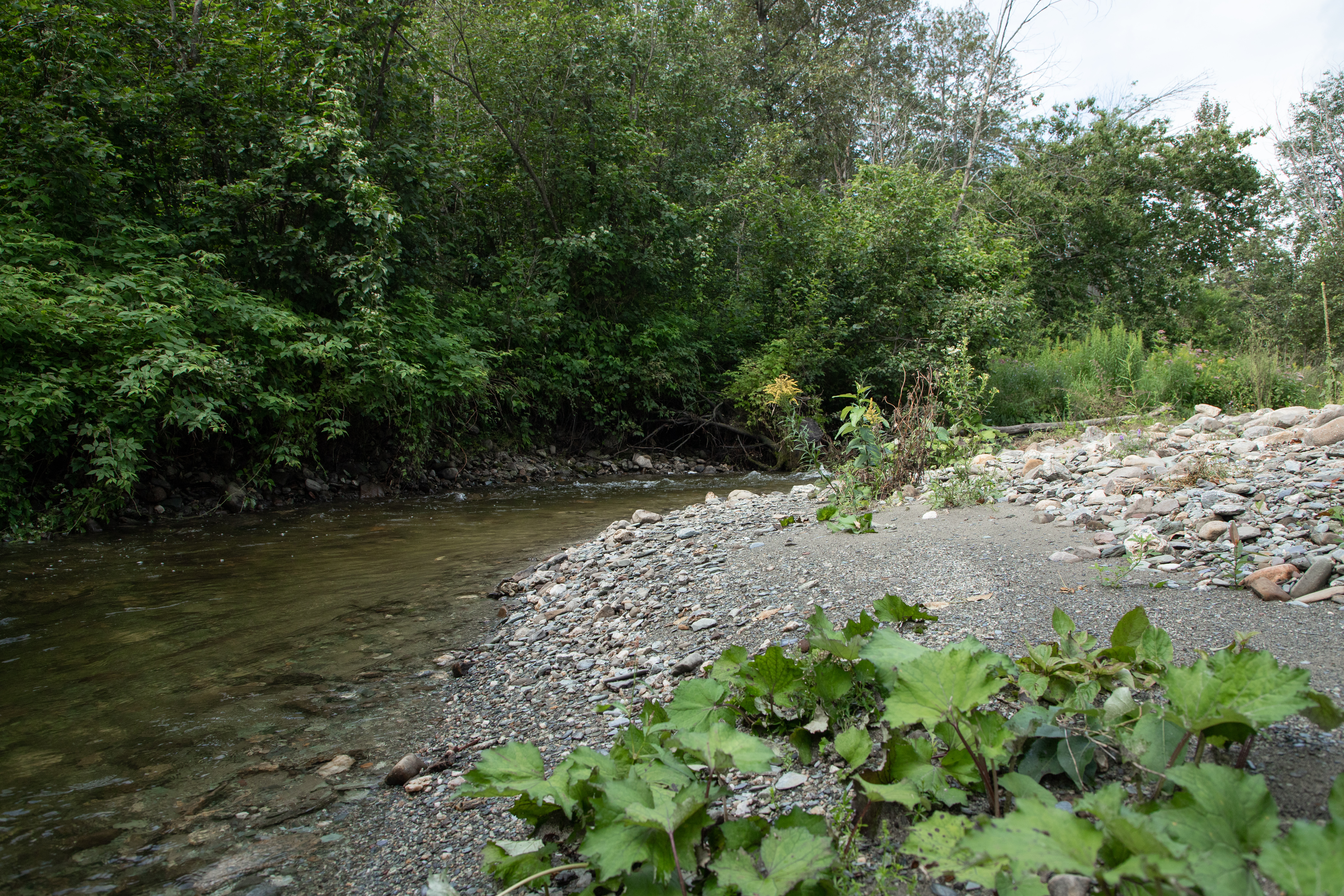 Plongez dans L'Érable_camping Rêves Nature_ 2