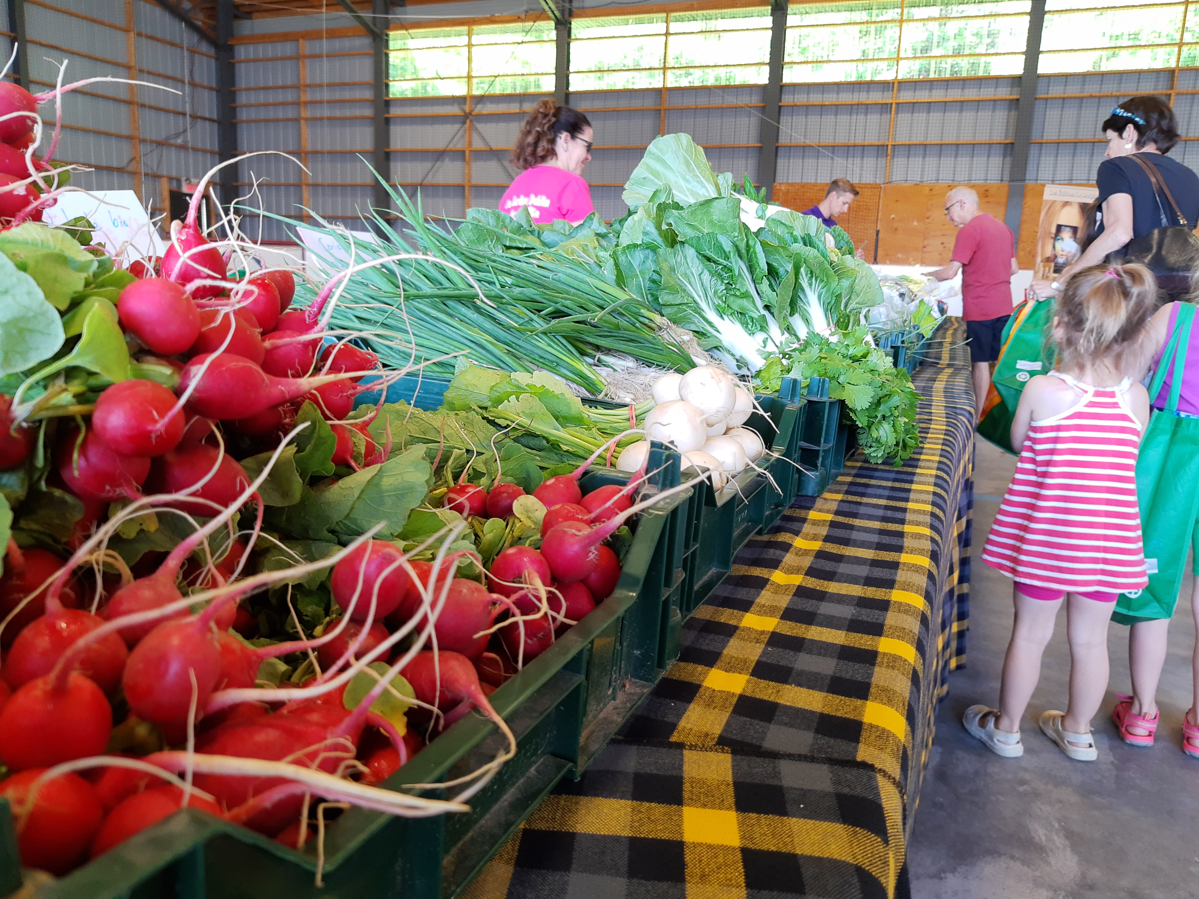 Plongez dans L'Érable_Marché d'Inverness